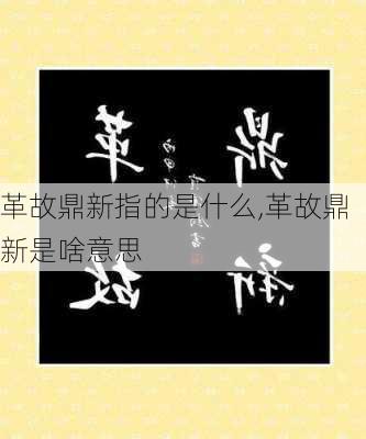 革故鼎新指的是什么,革故鼎新是啥意思