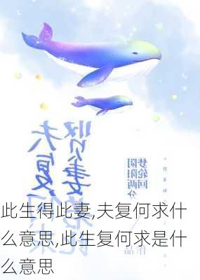 此生得此妻,夫复何求什么意思,此生复何求是什么意思