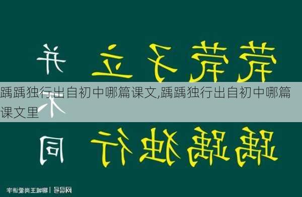 踽踽独行出自初中哪篇课文,踽踽独行出自初中哪篇课文里