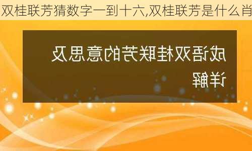 双桂联芳猜数字一到十六,双桂联芳是什么肖