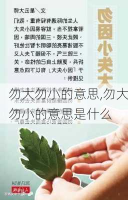 勿大勿小的意思,勿大勿小的意思是什么