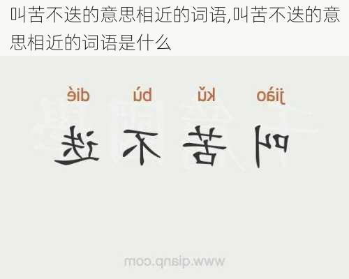 叫苦不迭的意思相近的词语,叫苦不迭的意思相近的词语是什么