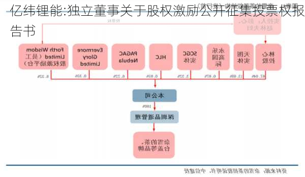 亿纬锂能:独立董事关于股权激励公开征集投票权报告书