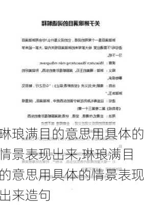 琳琅满目的意思用具体的情景表现出来,琳琅满目的意思用具体的情景表现出来造句