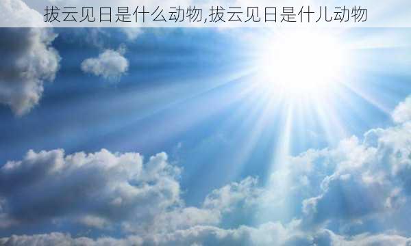 拔云见日是什么动物,拔云见日是什儿动物