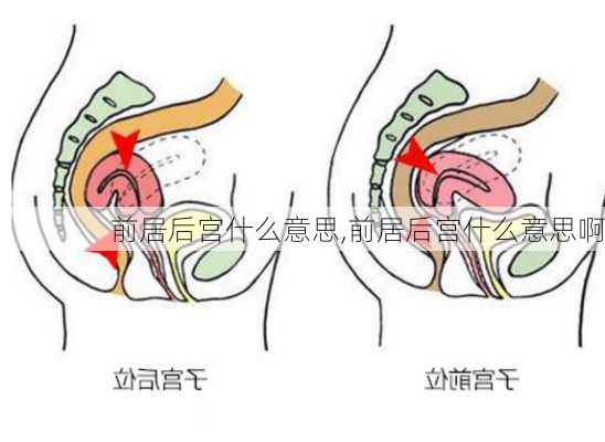 前居后宫什么意思,前居后宫什么意思啊