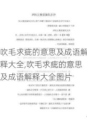 吹毛求疵的意思及成语解释大全,吹毛求疵的意思及成语解释大全图片