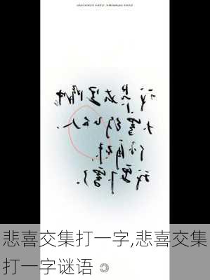 悲喜交集打一字,悲喜交集打一字谜语