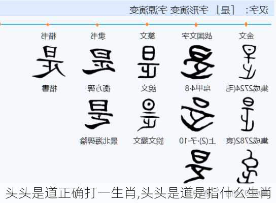 头头是道正确打一生肖,头头是道是指什么生肖