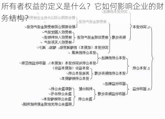 所有者权益的定义是什么？它如何影响企业的财务结构？