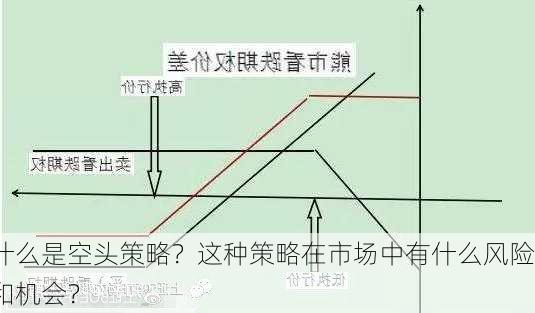 什么是空头策略？这种策略在市场中有什么风险和机会？