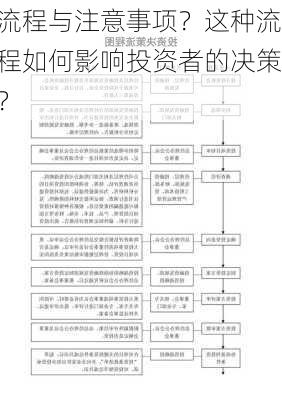 流程与注意事项？这种流程如何影响投资者的决策？