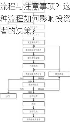 流程与注意事项？这种流程如何影响投资者的决策？