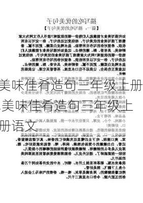 美味佳肴造句三年级上册,美味佳肴造句三年级上册语文