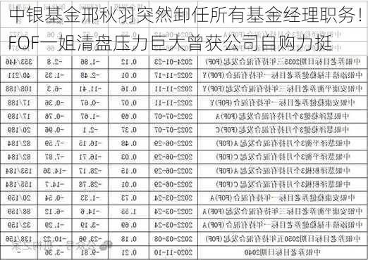 中银基金邢秋羽突然卸任所有基金经理职务！FOF一姐清盘压力巨大曾获公司自购力挺