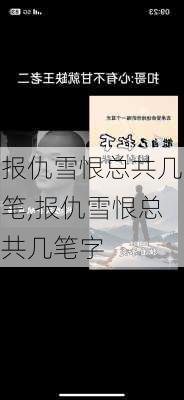 报仇雪恨总共几笔,报仇雪恨总共几笔字