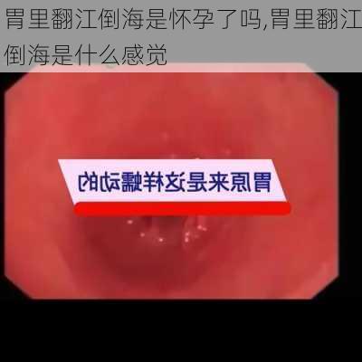 胃里翻江倒海是怀孕了吗,胃里翻江倒海是什么感觉