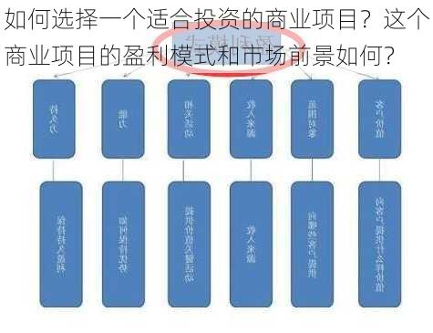 如何选择一个适合投资的商业项目？这个商业项目的盈利模式和市场前景如何？