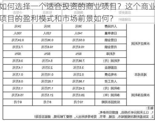 如何选择一个适合投资的商业项目？这个商业项目的盈利模式和市场前景如何？