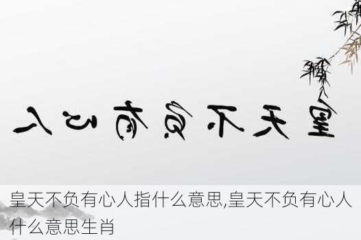 皇天不负有心人指什么意思,皇天不负有心人什么意思生肖