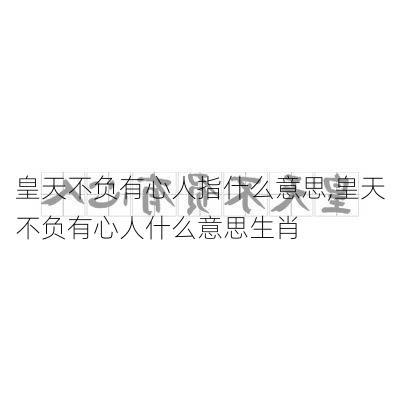 皇天不负有心人指什么意思,皇天不负有心人什么意思生肖