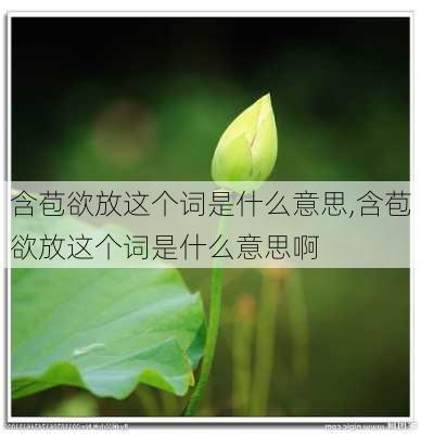 含苞欲放这个词是什么意思,含苞欲放这个词是什么意思啊