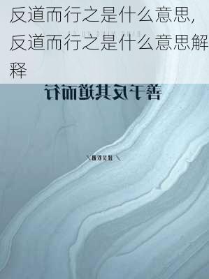 反道而行之是什么意思,反道而行之是什么意思解释