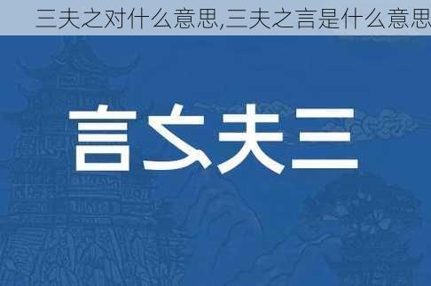 三夫之对什么意思,三夫之言是什么意思