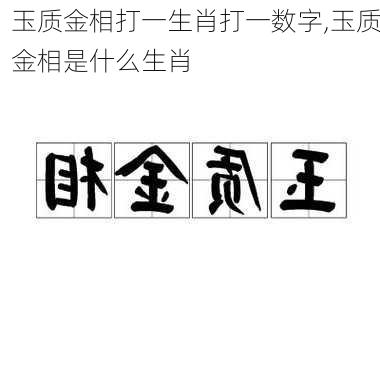 玉质金相打一生肖打一数字,玉质金相是什么生肖