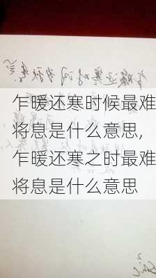 乍暖还寒时候最难将息是什么意思,乍暖还寒之时最难将息是什么意思