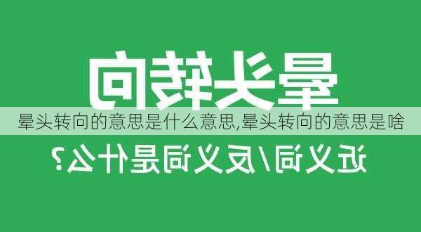 晕头转向的意思是什么意思,晕头转向的意思是啥