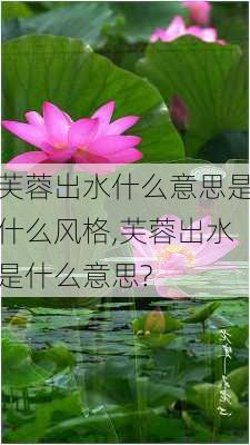 芙蓉出水什么意思是什么风格,芙蓉出水是什么意思?