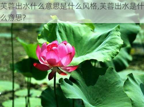 芙蓉出水什么意思是什么风格,芙蓉出水是什么意思?