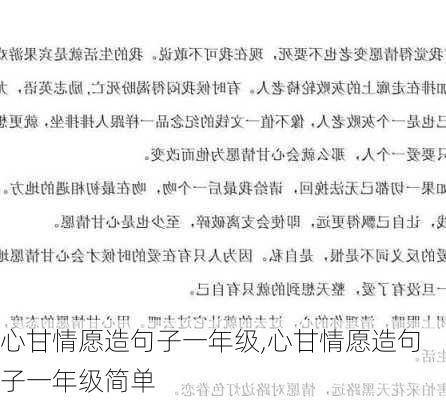 心甘情愿造句子一年级,心甘情愿造句子一年级简单