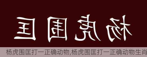 杨虎围匡打一正确动物,杨虎围匡打一正确动物生肖