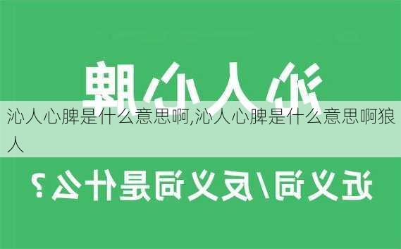 沁人心脾是什么意思啊,沁人心脾是什么意思啊狼人