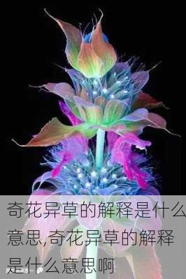 奇花异草的解释是什么意思,奇花异草的解释是什么意思啊