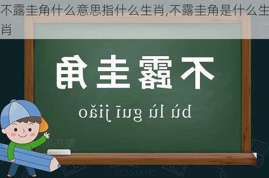 不露圭角什么意思指什么生肖,不露圭角是什么生肖