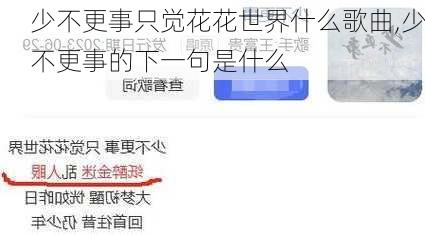 少不更事只觉花花世界什么歌曲,少不更事的下一句是什么