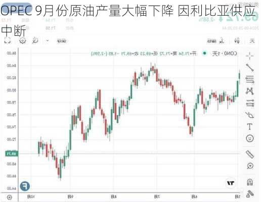 OPEC 9月份原油产量大幅下降 因利比亚供应中断