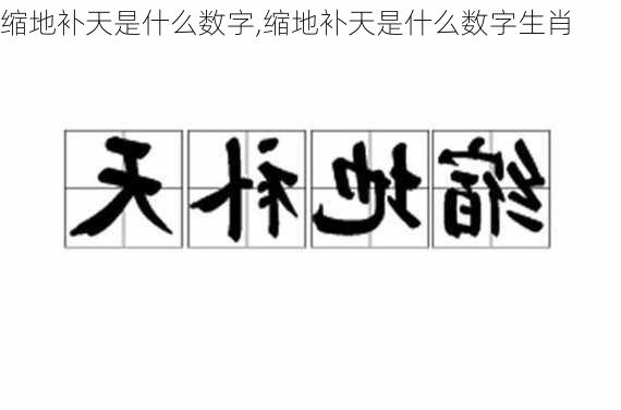 缩地补天是什么数字,缩地补天是什么数字生肖