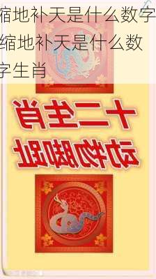 缩地补天是什么数字,缩地补天是什么数字生肖