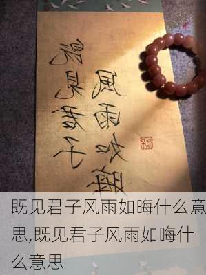 既见君子风雨如晦什么意思,既见君子风雨如晦什么意思