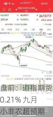 盘前：道指期货跌0.21% 九月小非农超预期