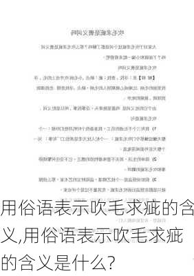 用俗语表示吹毛求疵的含义,用俗语表示吹毛求疵的含义是什么?