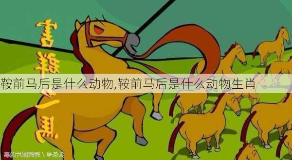 鞍前马后是什么动物,鞍前马后是什么动物生肖