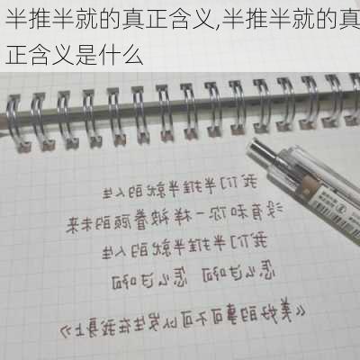 半推半就的真正含义,半推半就的真正含义是什么