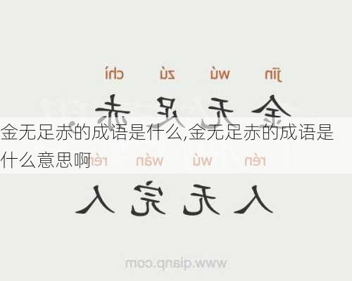 金无足赤的成语是什么,金无足赤的成语是什么意思啊