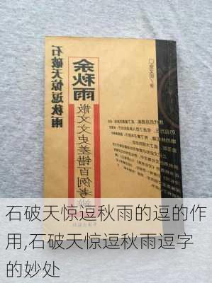 石破天惊逗秋雨的逗的作用,石破天惊逗秋雨逗字的妙处