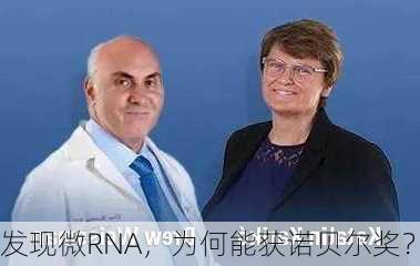 发现微RNA，为何能获诺贝尔奖？